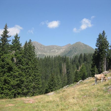 Fewo Windbichl Parcines Exteriér fotografie